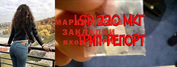 ГАЛЛЮЦИНОГЕННЫЕ ГРИБЫ Кулебаки