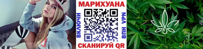 Канабис семена  Томари 